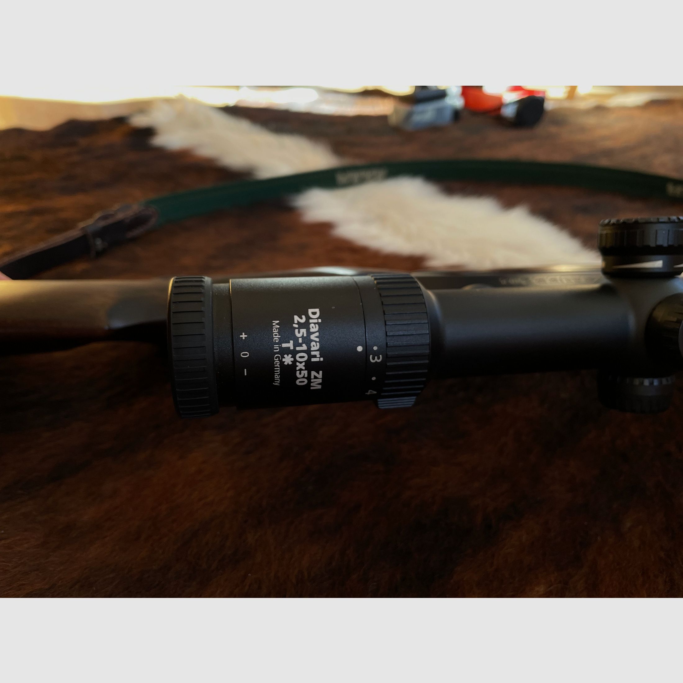 Sauer 202 | Cal. .30-06 | Zeiss Diavari 2,5-10x50 (point lumineux)