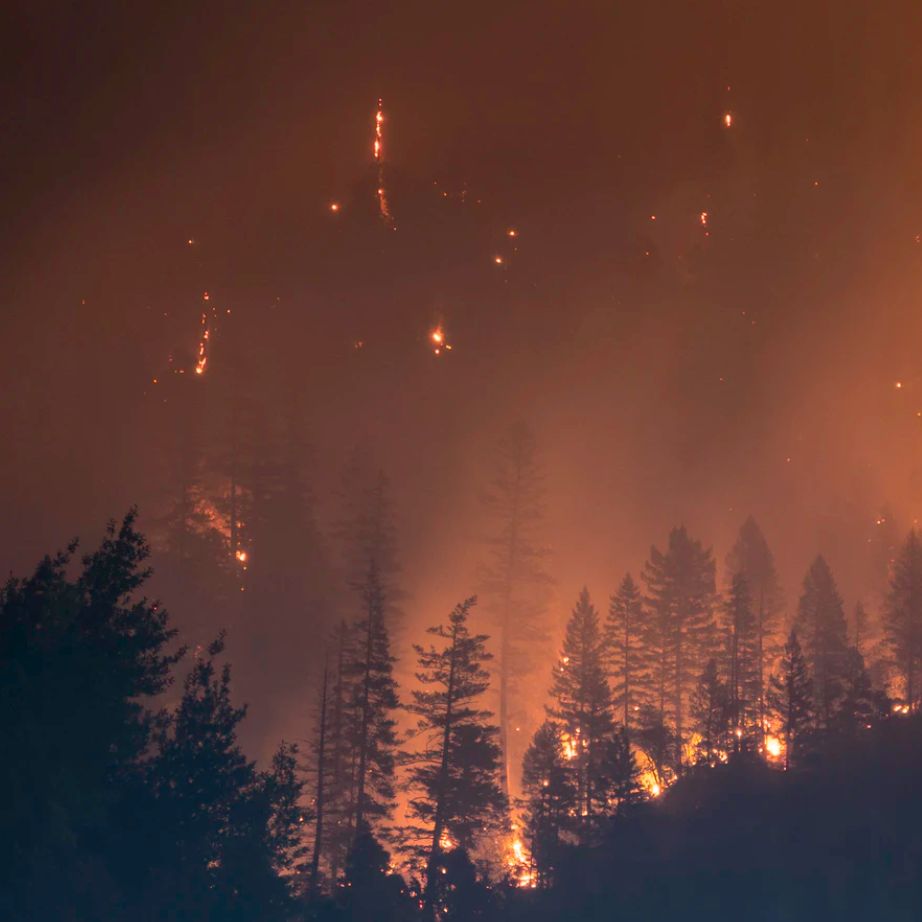 Achtung! Waldbrand!