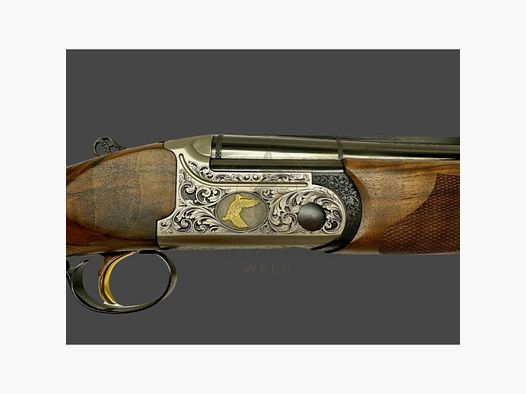 Bettinsoli Rex Lite Cal. 12 LL66cm