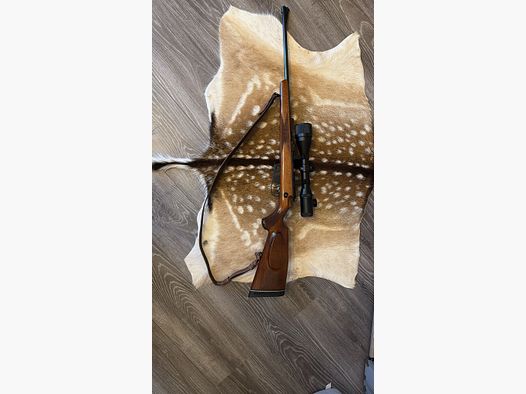 Walther KKJ 22.Hornet