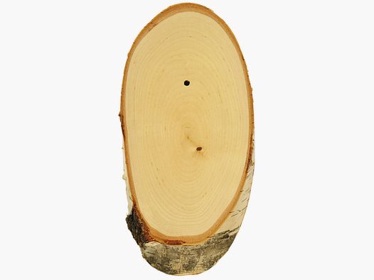 Gehörnbrettchen Rehbock, Birke