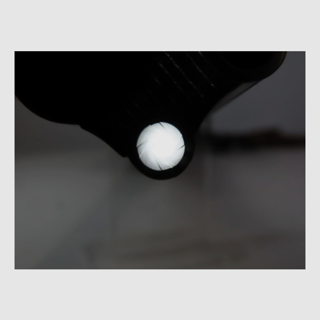 Moritz Zapf Bockdrilling