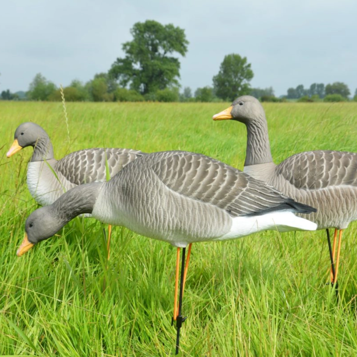 Prodecoys Elite ganso común flocado 6 uds., imagen 2 de 2