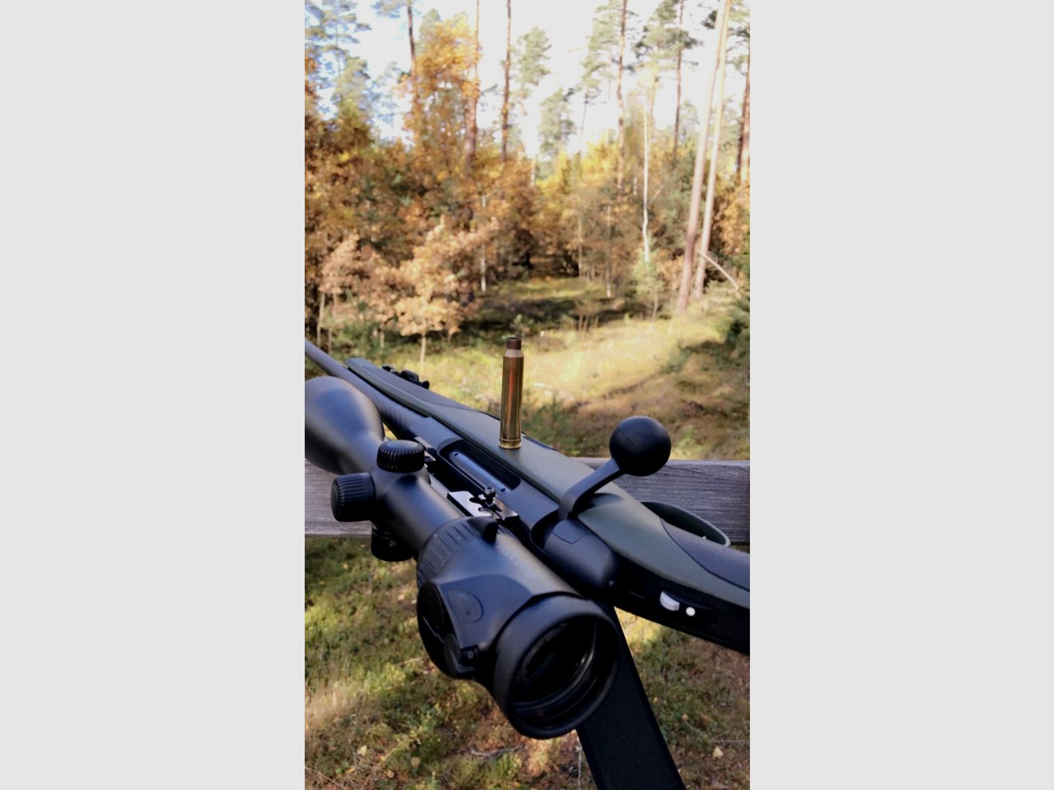 Steyr Cl2 SX .300 Win. Mag.