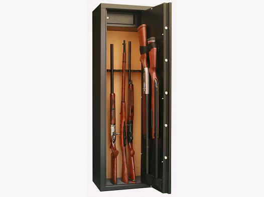 Infac Sentinel 10 armes