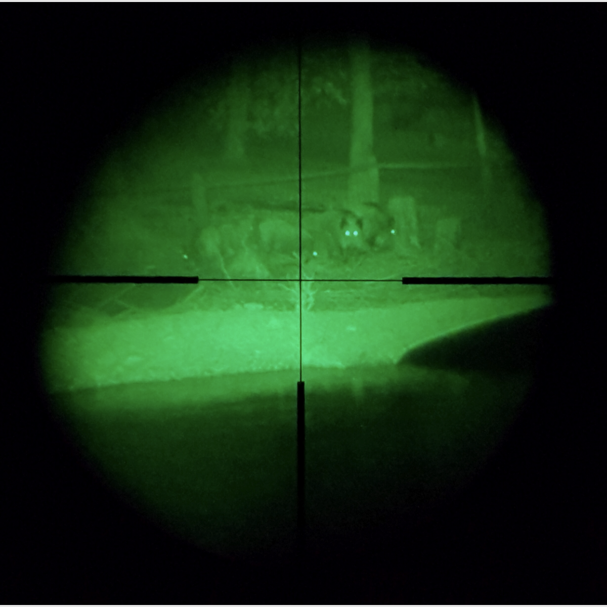 MeoNight Vorsatz Restlichverstärker, Bild 6 von 12
