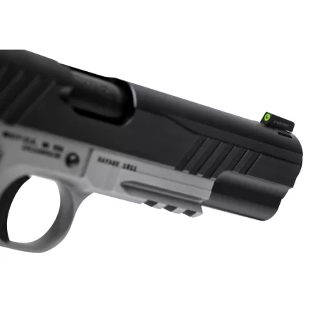 Pistool SAVAGE 1911 GOVT STYLE TWO-TONE WITH RAIL kal. .45 ACP, afbeelding 12 van 12