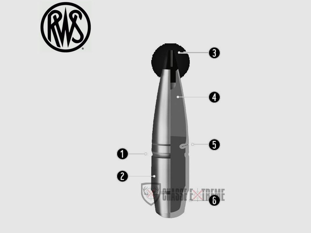 20 cartuchos RWS cal 270 Win 140gr Speed Tip Pro, imagen 2 de 2