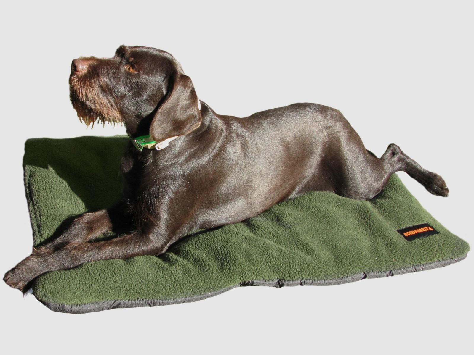 Nordforest coperta per cani in pile di fibra verde, immagine 1 di 2