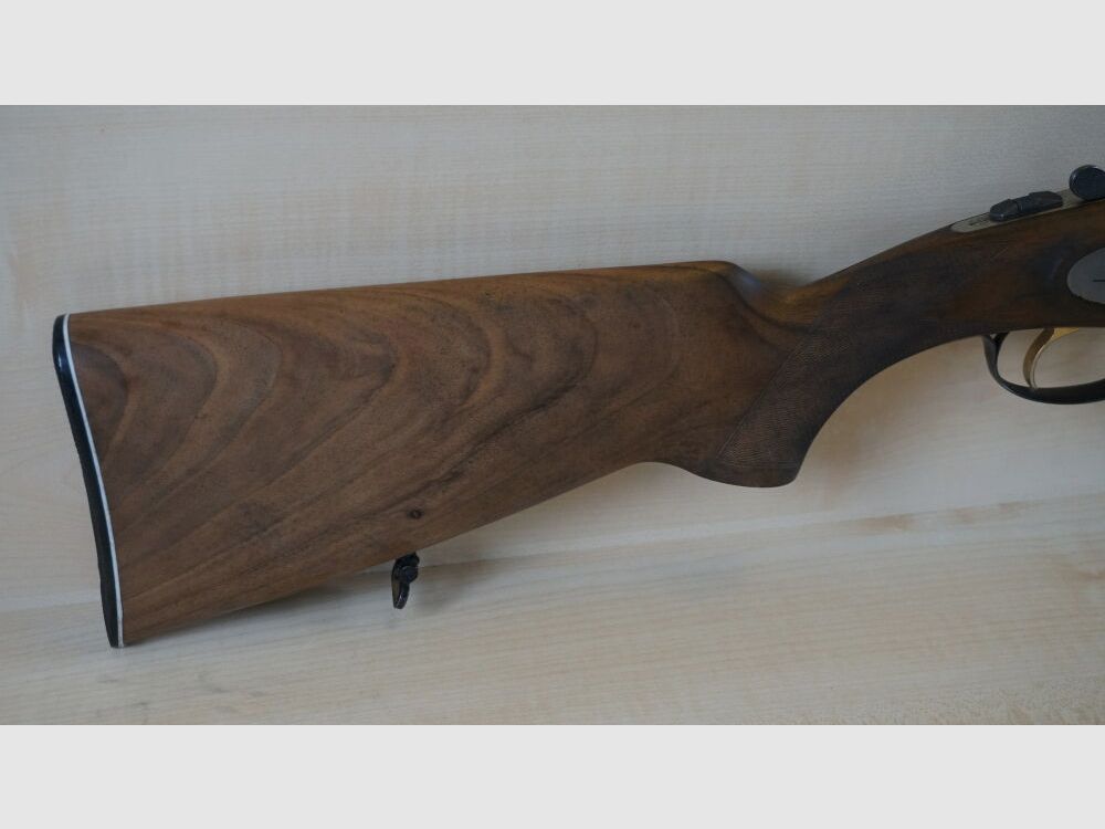 Rizzini