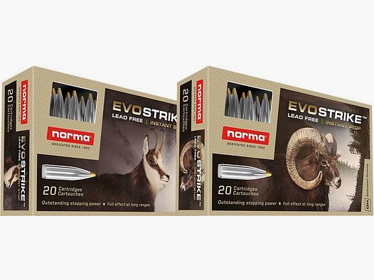 Norma Evostrike 30-06, 9.0 gram