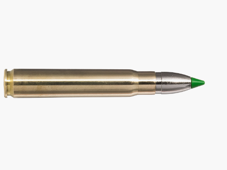 NORMA 9.3X62 ECOSTRIKE 225 GR