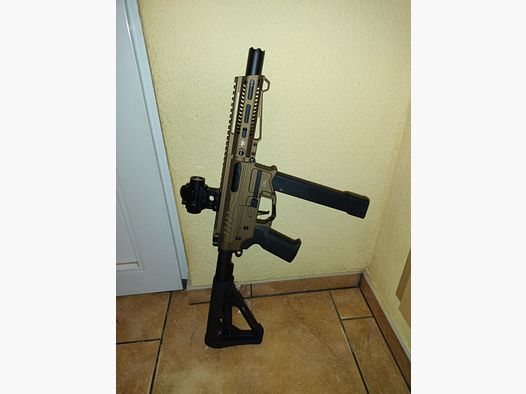 Zion Arms Pw9