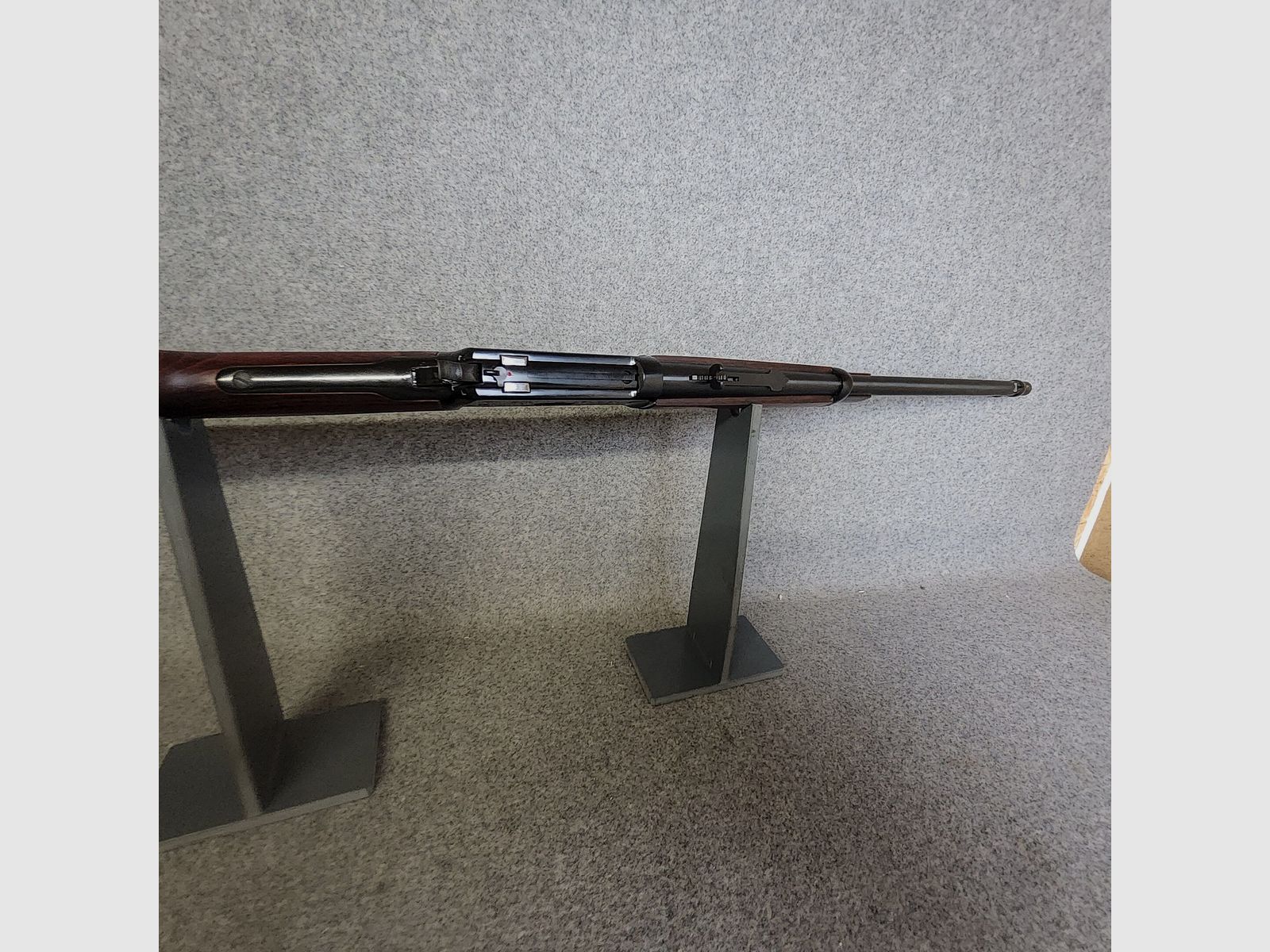 CBC-Rossi Puma-revised