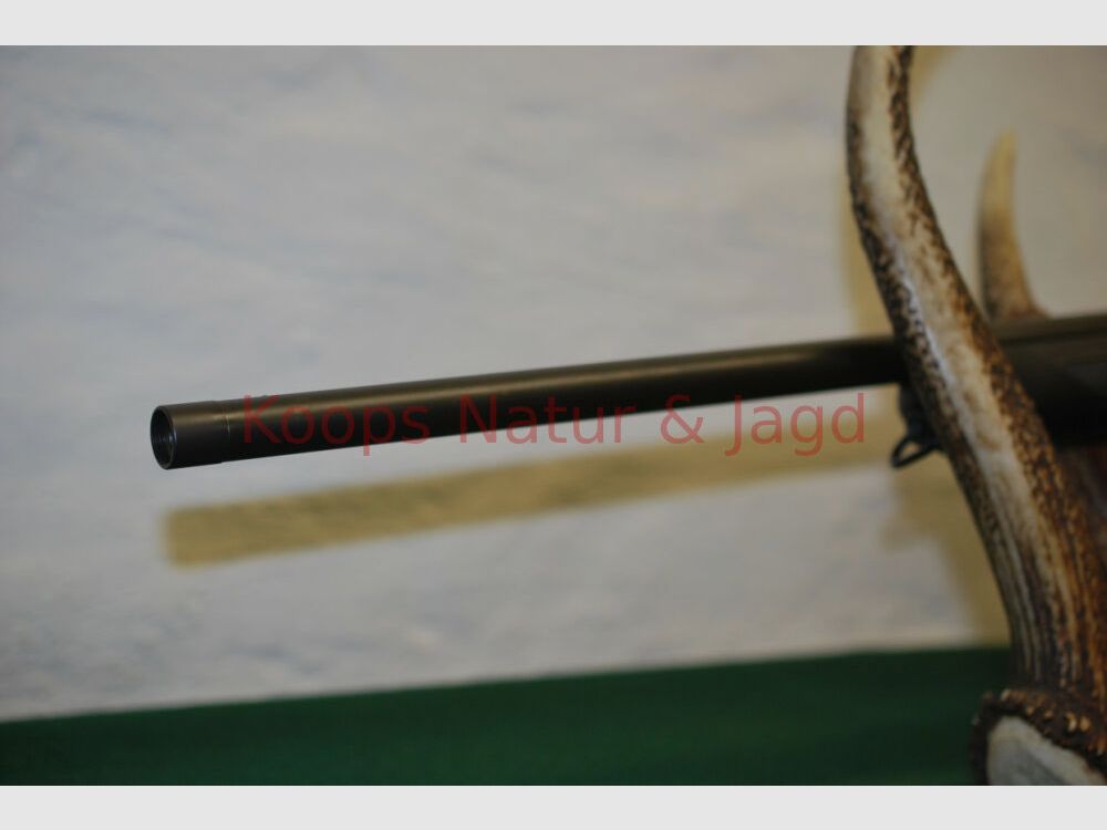 Sauer & Sohn 404 Classic XT