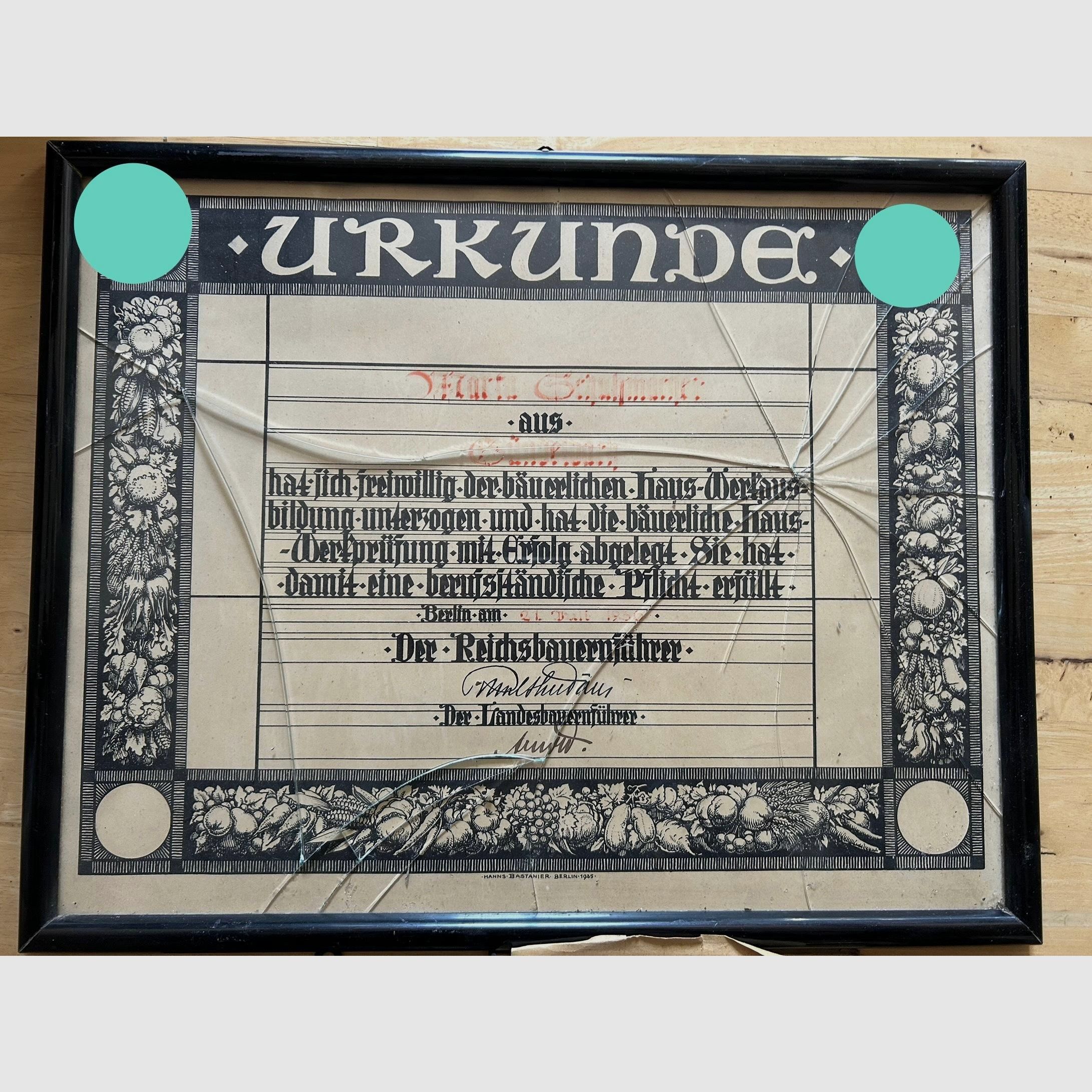 Convoluut 1e Wereldoorlog WW1 Speldjes