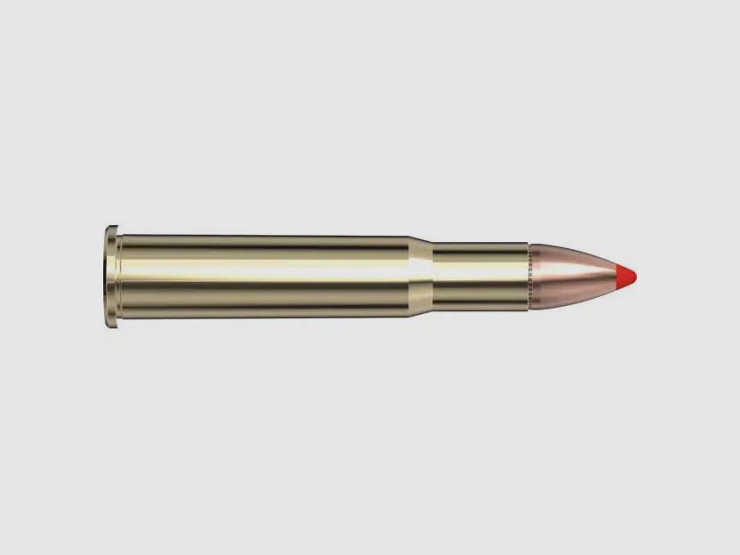 Hornady 165grs FTX 20STK