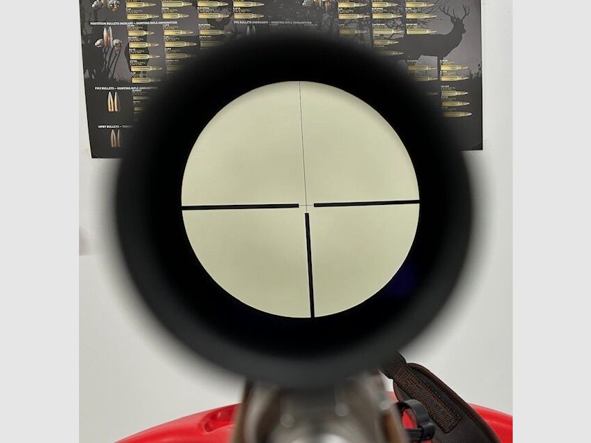 Safari Espressi Selvaggio Selvaggio