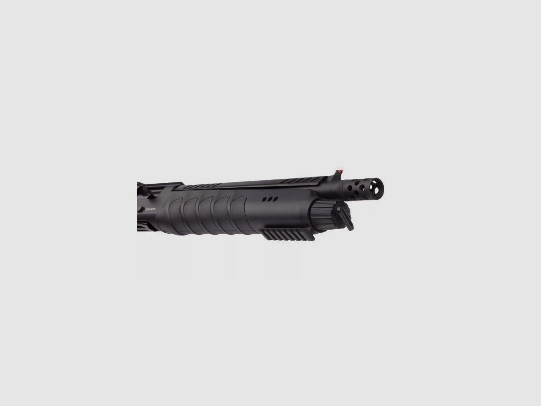 LION X, imagen 2 de 3