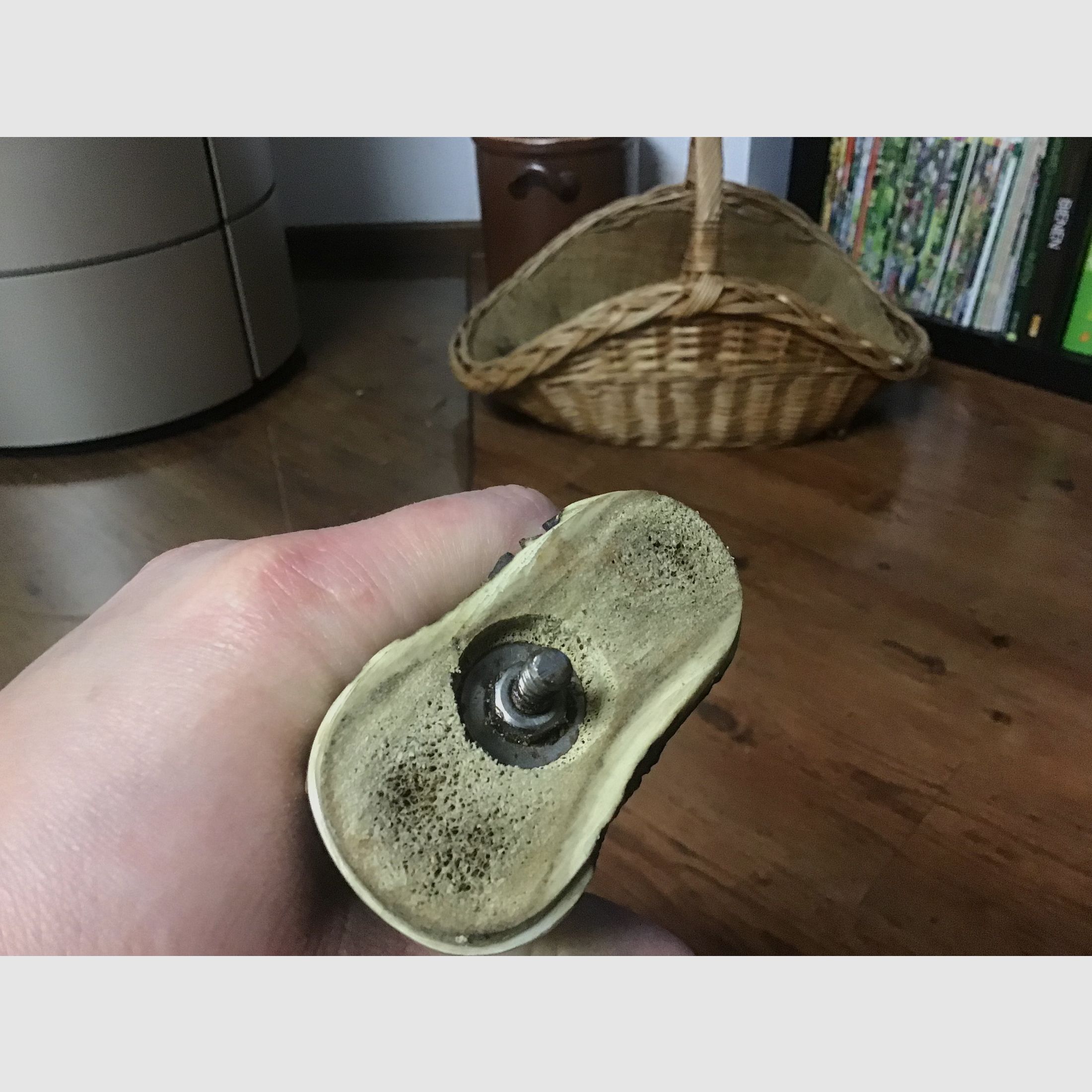 2 beaux couteaux de chasse presque épées avec l'inscription Vivat Diana