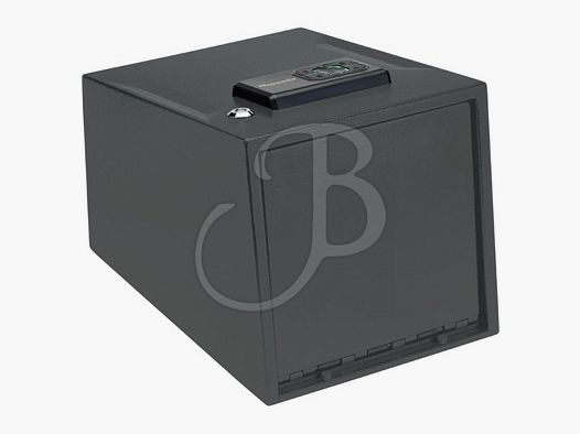 HORNADY SICHERHEITSBOX FÜR 2 KURZE WAFFEN