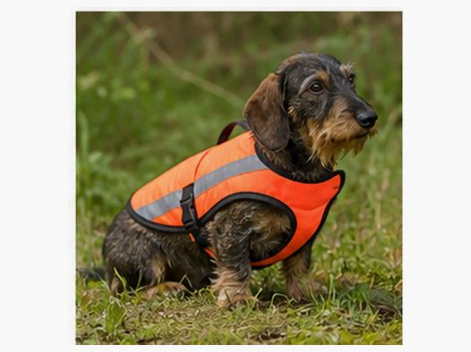 Reflektierende orangefarbene Weste für Dackel und Terrier