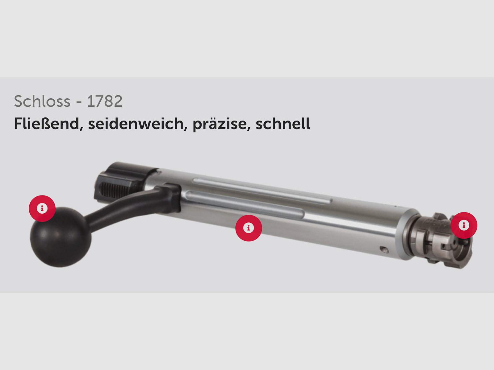 J.G. Anschütz 1782 D G-15x1 Lochschaft Kaliber .243 Win. 580 mm Repetierbüchse