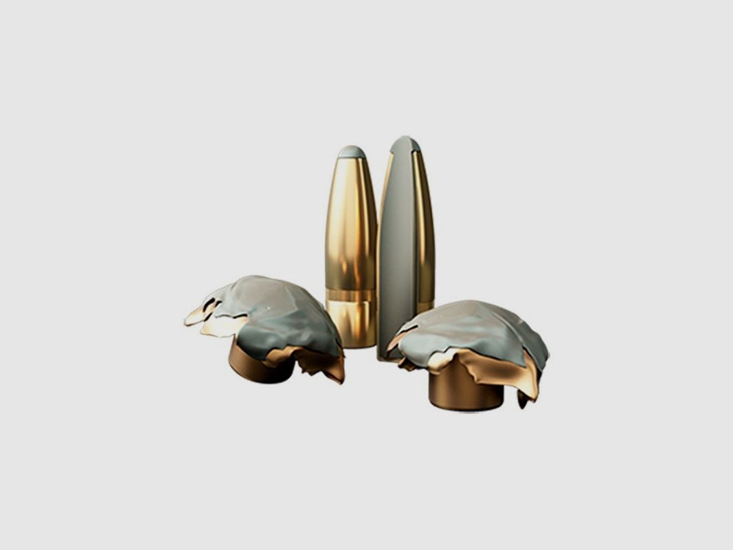 S&B .45-70 GOV SP 26.2 g 405 gr, Bild 2 von 2