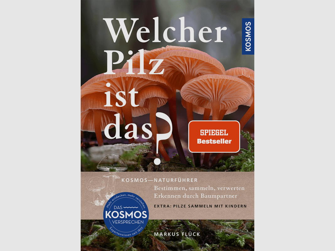 Buch "Naturführer Welcher Pilz ist das?"