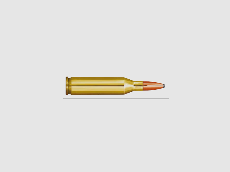 Partizan 243 Winchester SP 100gr
