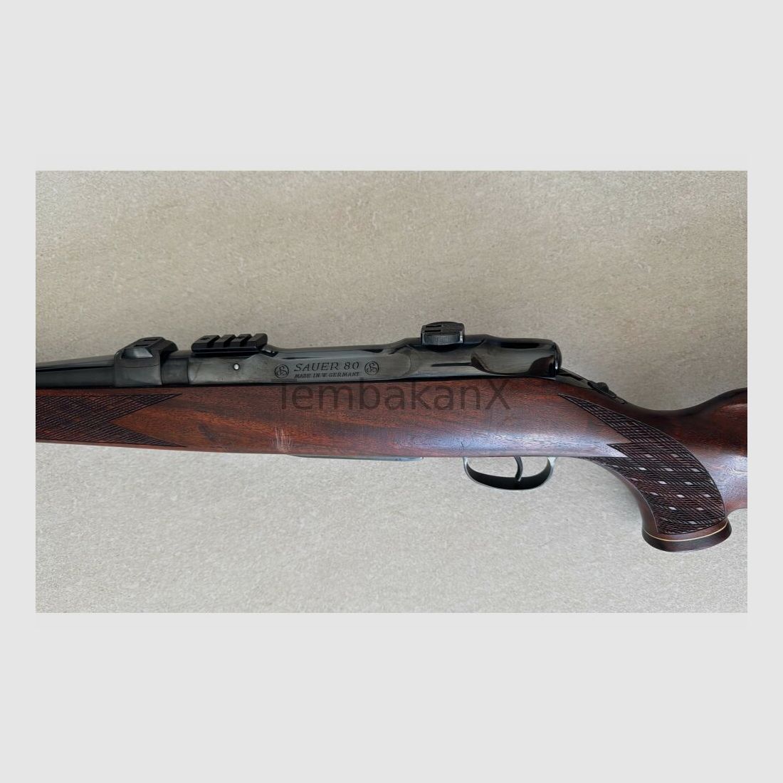 Blaser/Sauer 80 8x68S