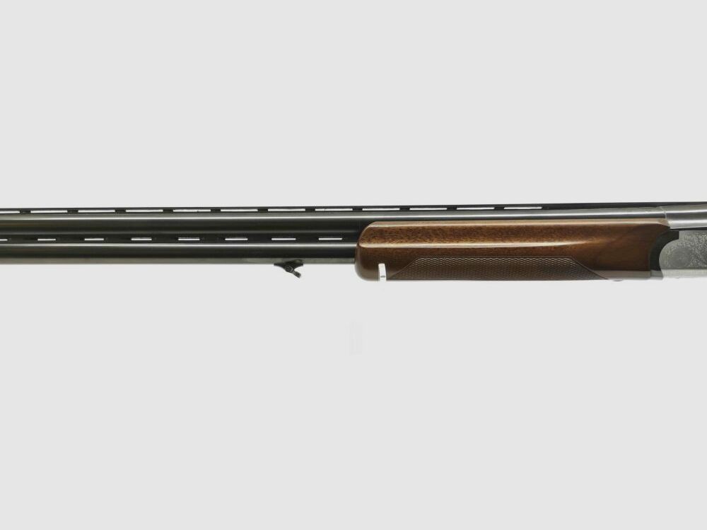 Rottweil 500