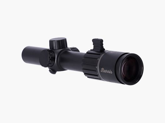 Burris RT-6 1-6x24 lunette