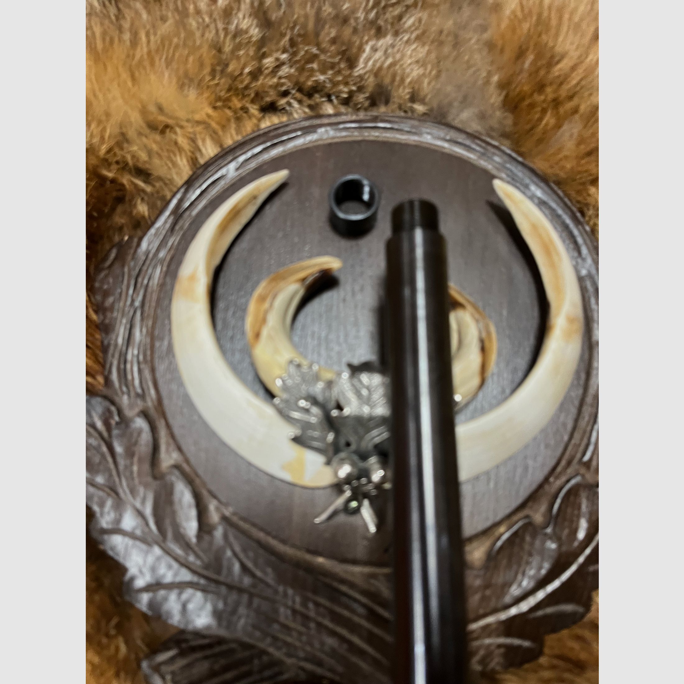 SteelAction HS Geradezug , Bild 6 von 6