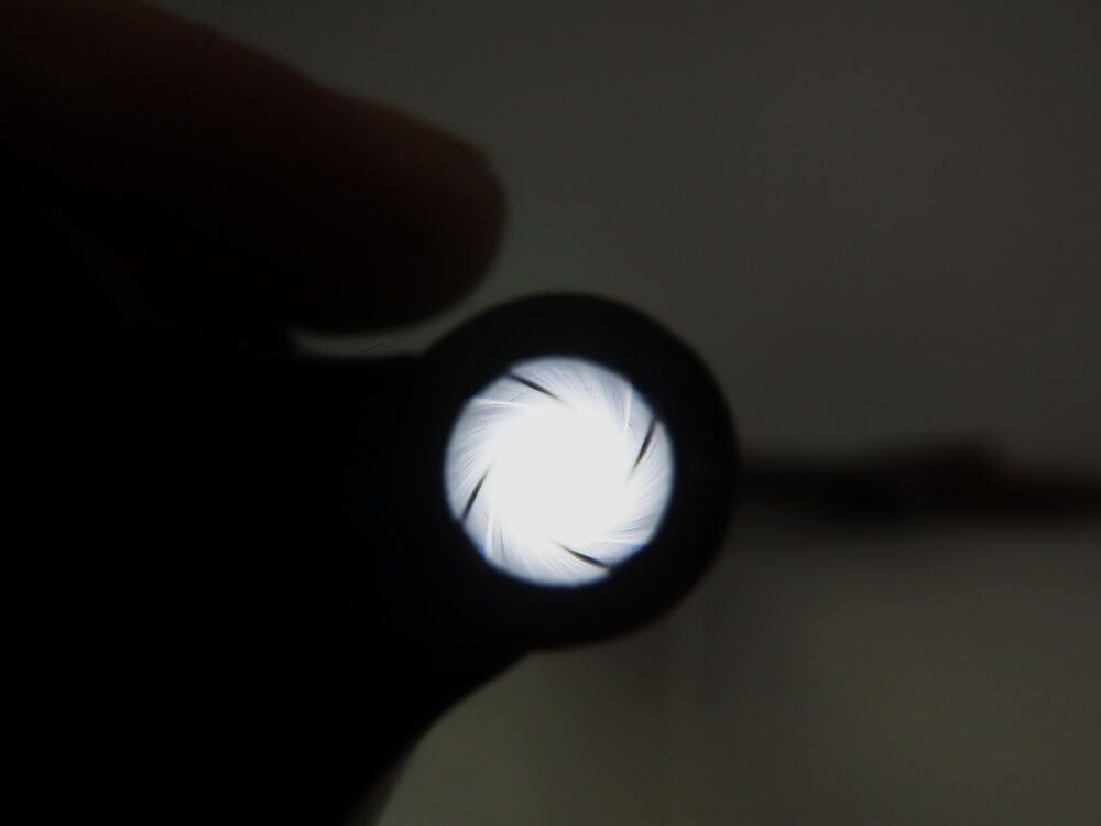 Moritz Zapf Bockdrilling