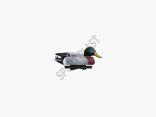 SPORT PLAST GERMANO MASCHIO