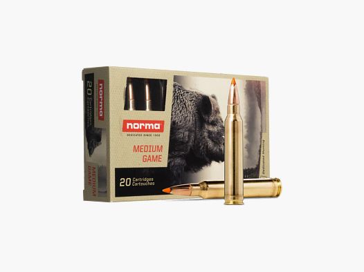 AMUNICJA KULOWA NORMA .30-06 TIPSTRIKE 11G