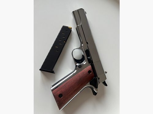 Colt Government 1911 A1