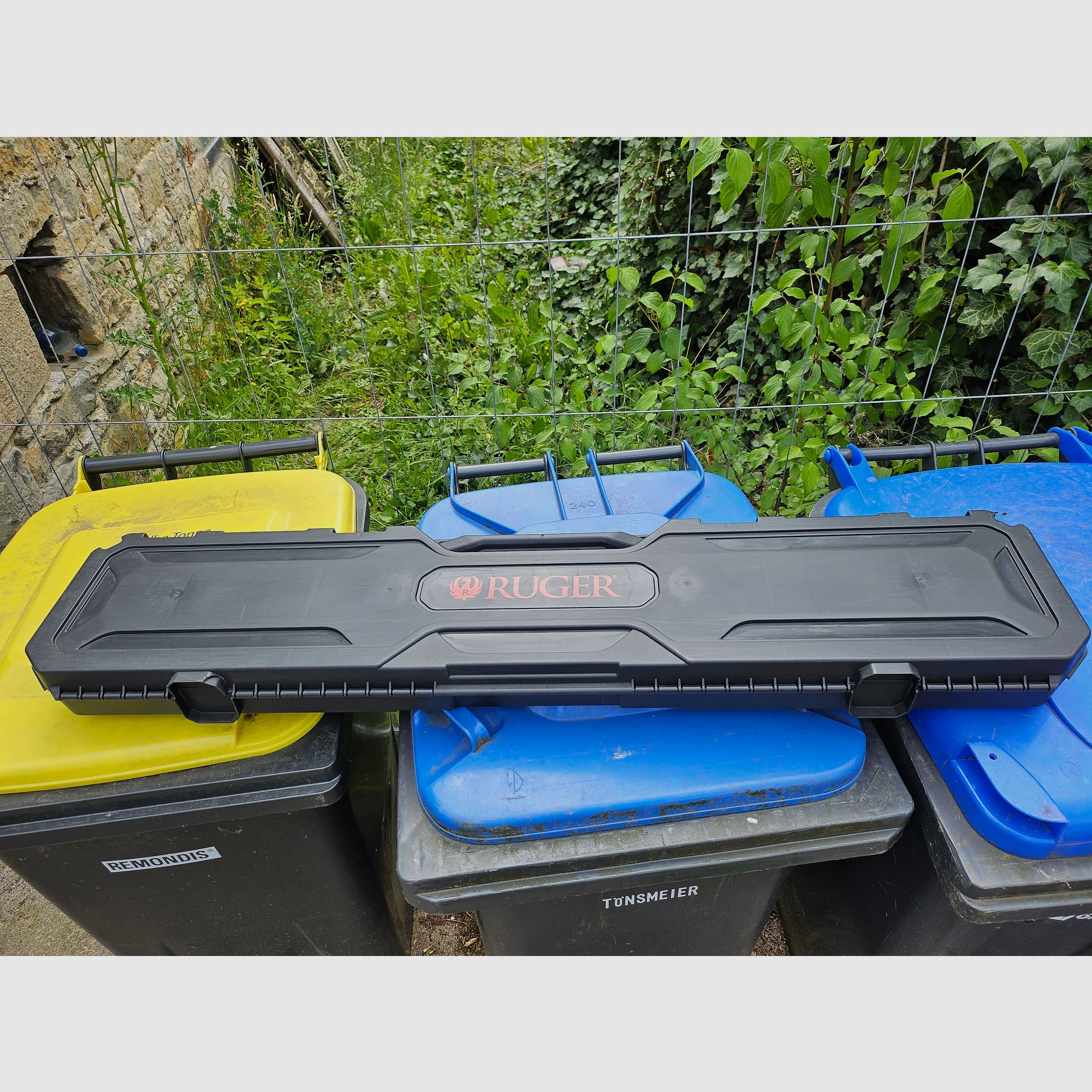 Ruger gun case