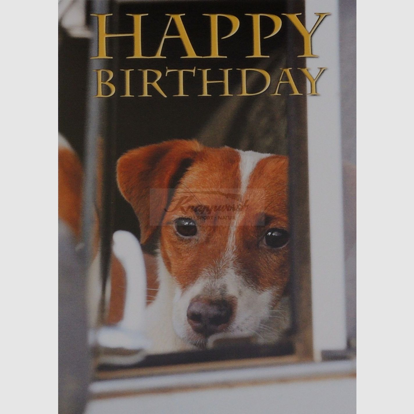 Carte d’anniversaire Jack Russell
