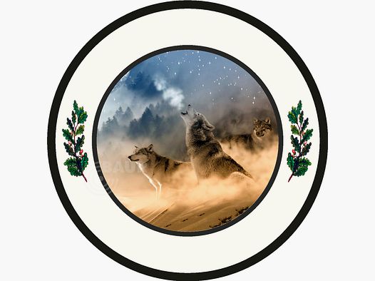 Cible de tir Outdoor-Line Motif 241