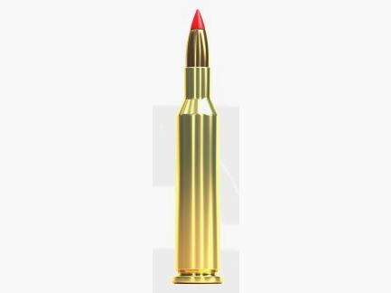 S&B – .17 hornet – V-Max