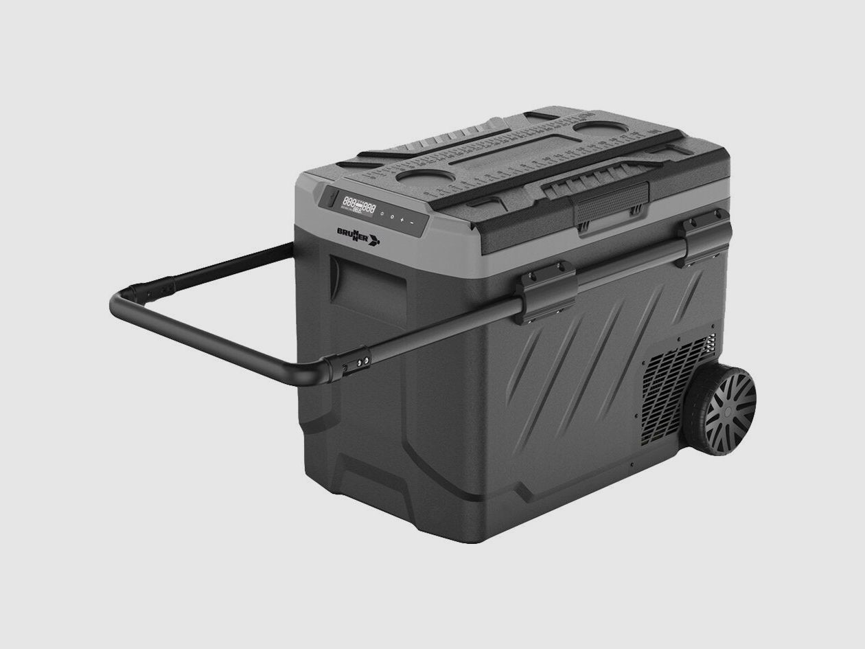 Polarys Freeze DZW50, 12/24/100 – 240 Volt, immagine 2 di 6