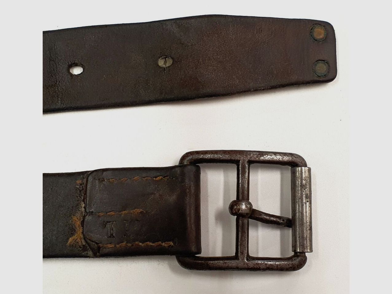 Zwitserse leger originele riem van het Zwitserse leger in verschillende lengtes