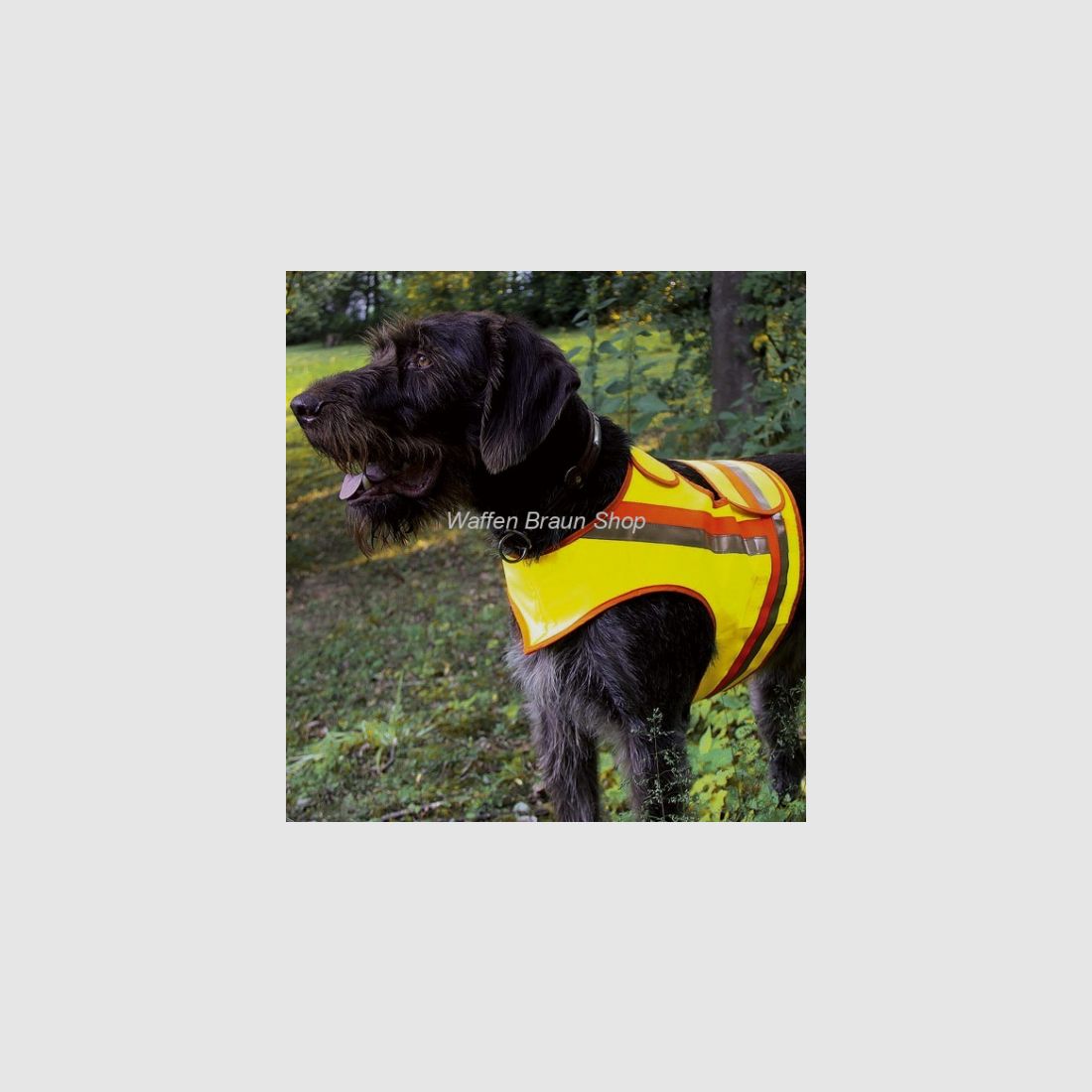 Reflective vest for dogs