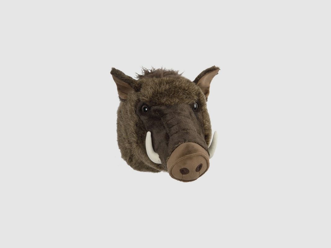 Trophäe Kopf Wildschwein 45 cm