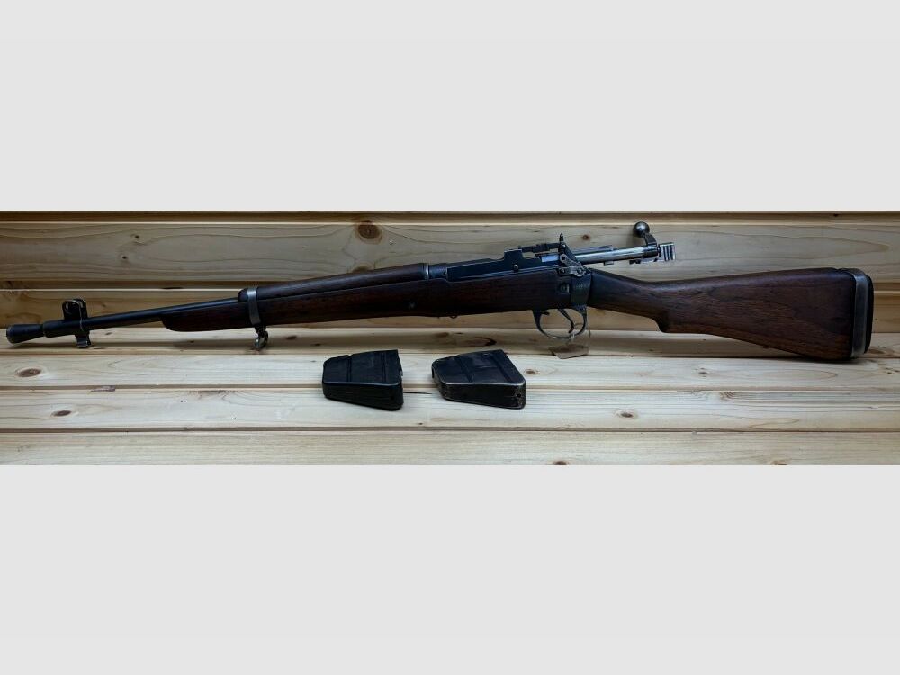 Enfield sans .303Brit