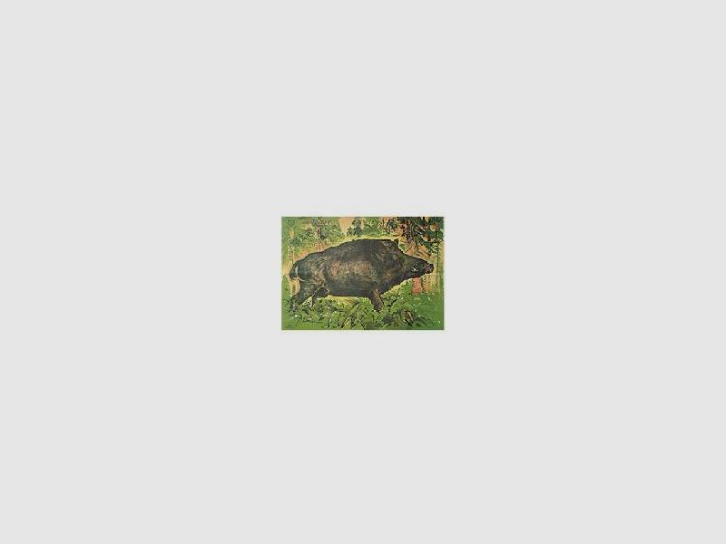 DJV Disco Nr2 fermo - Cinghiale (vecchia versione)