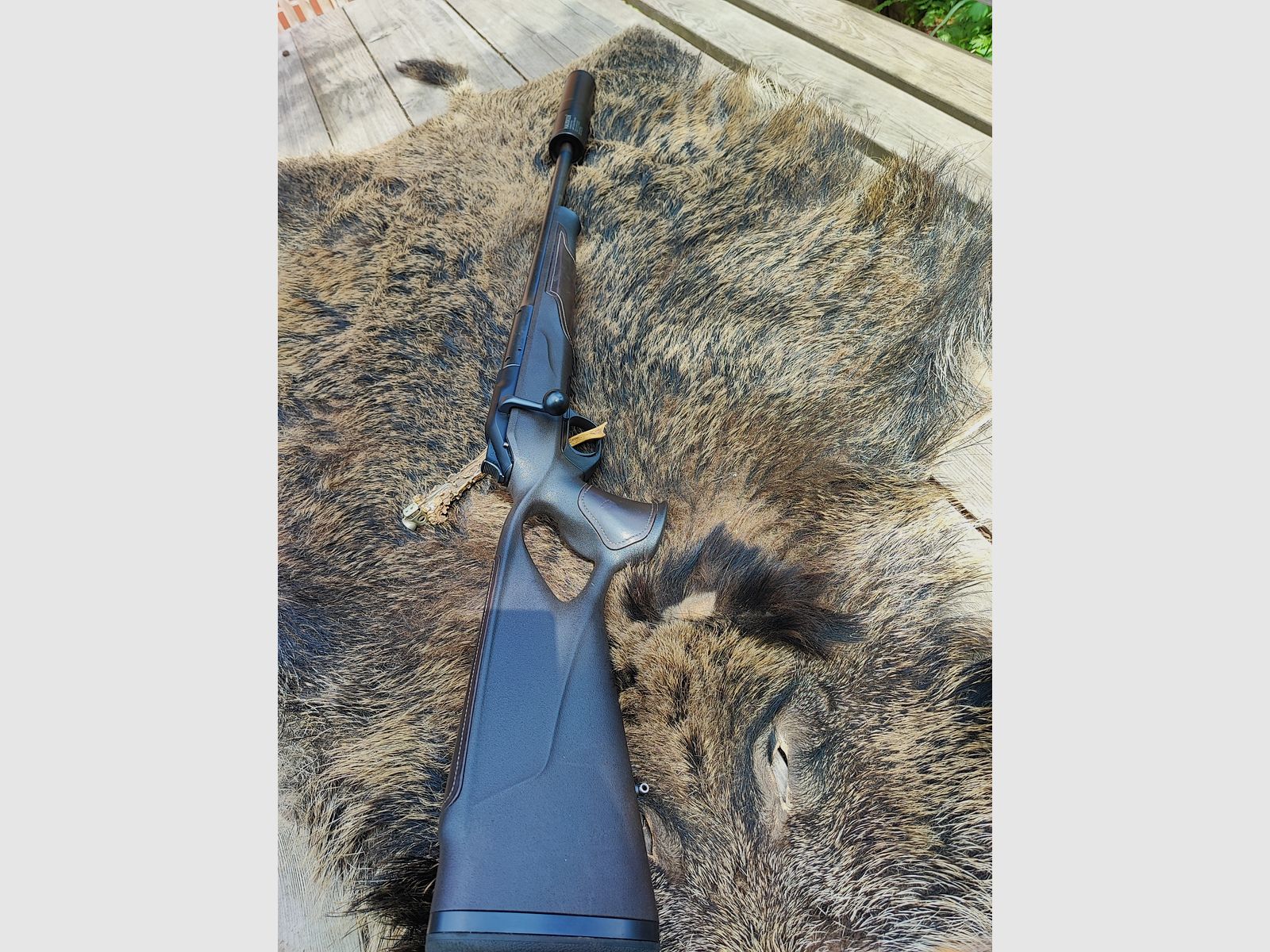 Blaser R8 Professional Success 