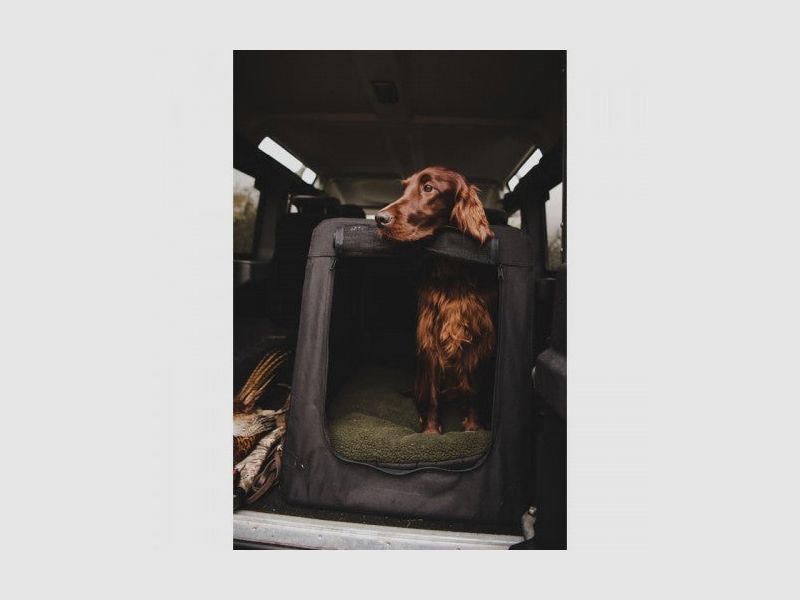 Farm-Land Hunde-Autotransportbox, Bild 4 von 5